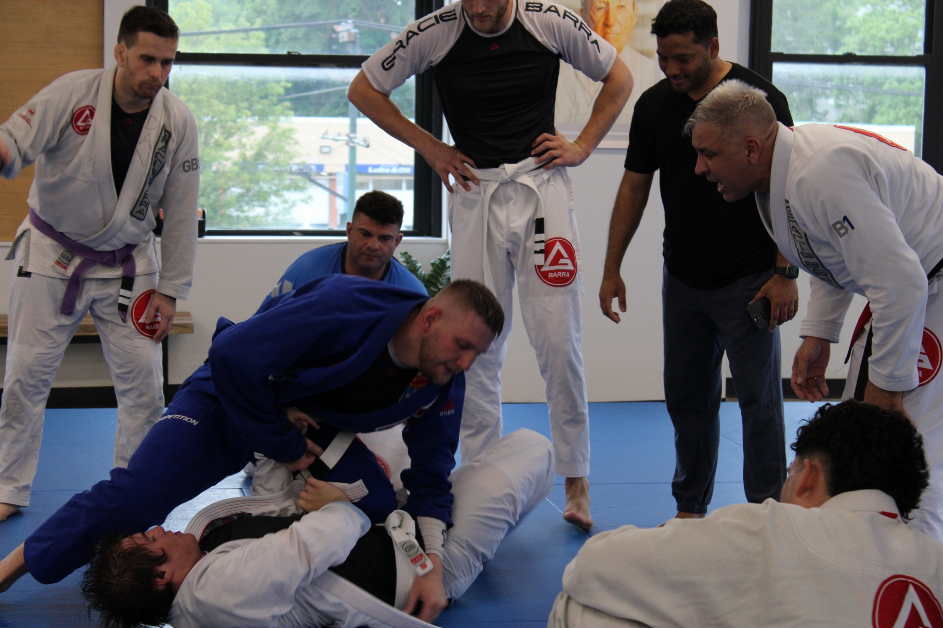 BJJ Classes Near Me